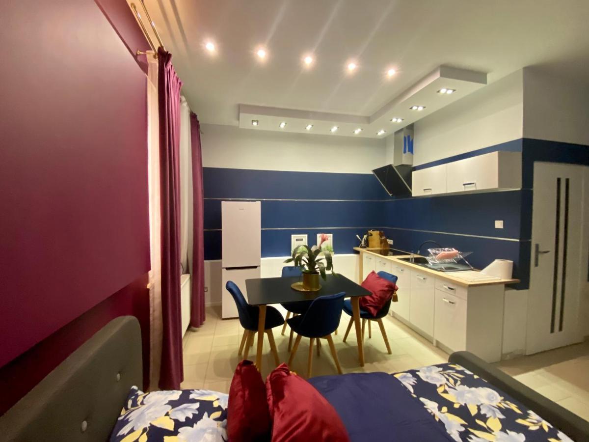Apartamenty I Pokoje „Pod Jedynka” Константынув-Лодзинский Экстерьер фото